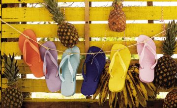 selection de tongs havaianas