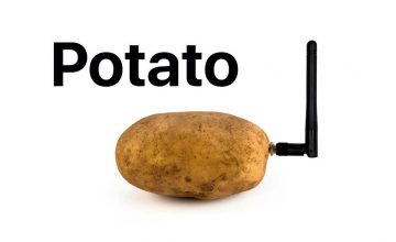 TOO39 insolite Potato
