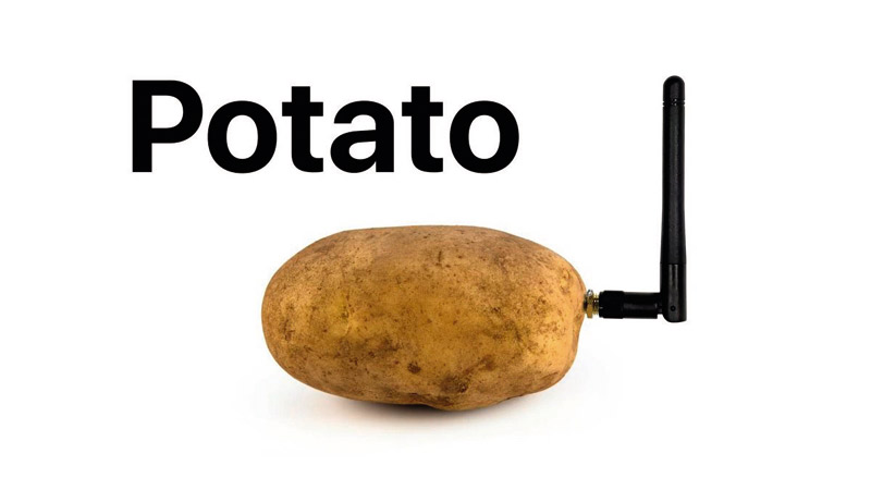 TOO39 insolite Potato