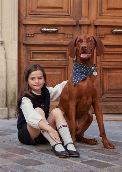 Harnais pour chien, à paillettes oranges – French Bandit