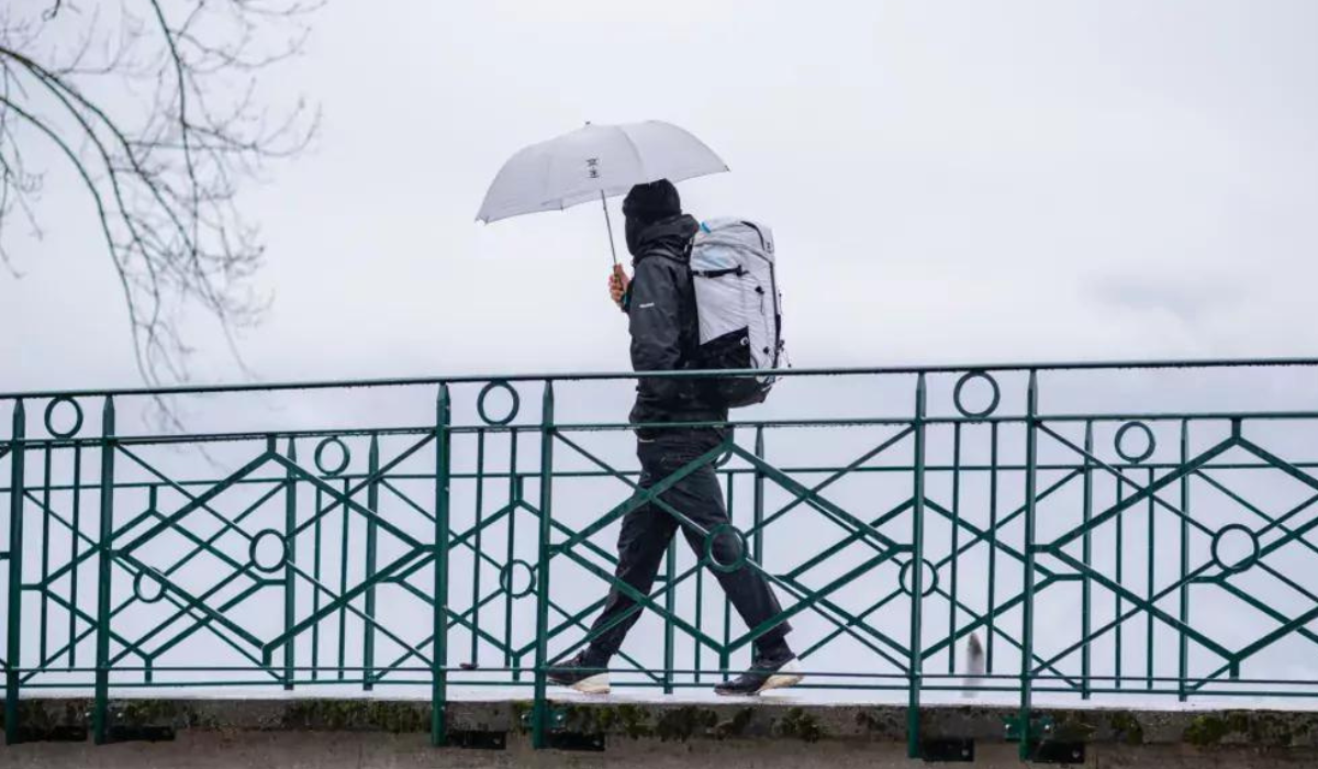 photo article parapluie