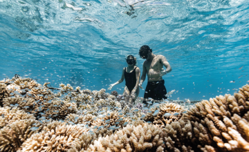 article Billabong TOO 53