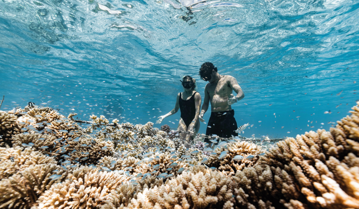 article Billabong TOO 53