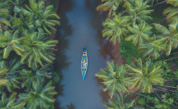 Les tendances voyages